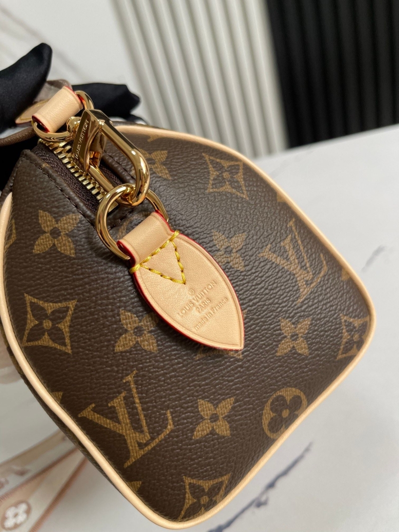 LV Speedy Bags